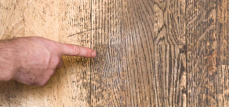 Wood Door Scratch Repair in Greenacres